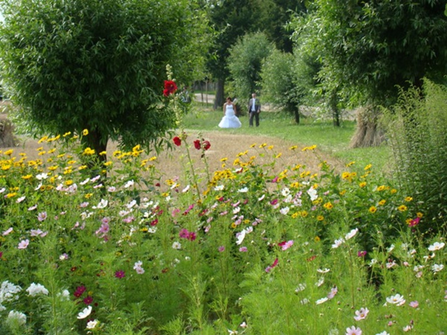 Sierpc_skansen_2011_190.jpg