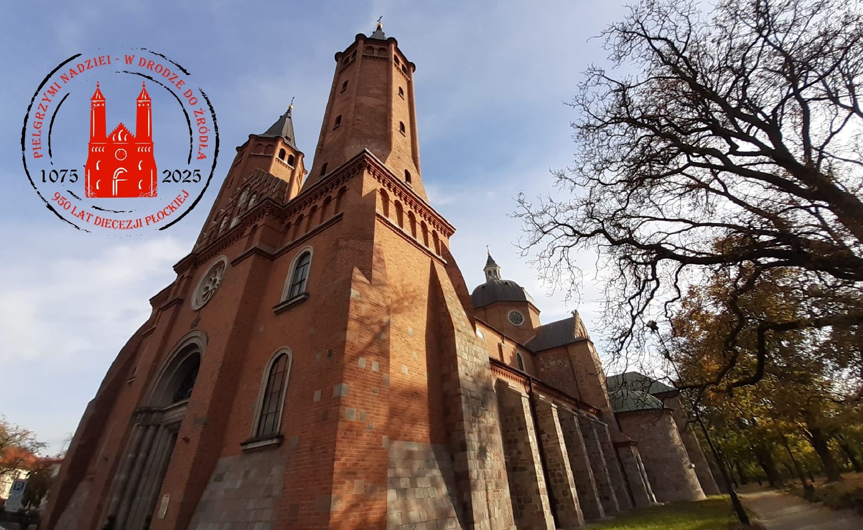 Komunikaty Ceremoniarza Biskupiego w związku z celebracjami w katedrze 7-8 listopada br.